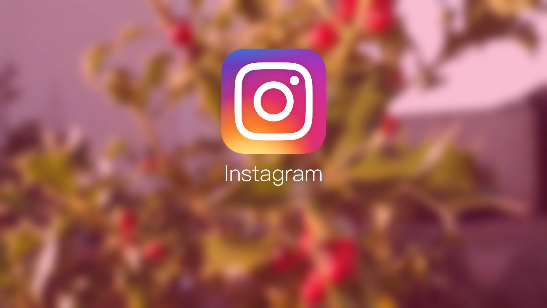 指紋瀏覽器可以用作Instagram的多帳戶管理工具嗎